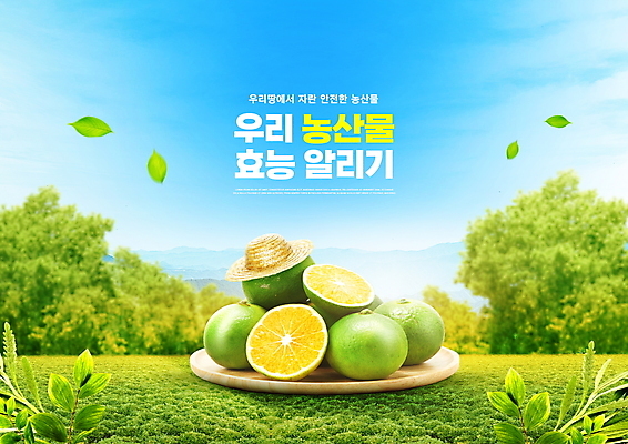 PSD 편집이미지 하늘색 나뭇잎 초원 타이포그라피 사람없음 초록색 농작물 알림 유기농 밀짚모자 국산 나무받침 청귤 로컬푸드 이미지편집 문자 모자_잡화 웰빙 컬러 잎 농업 과일 목재 파란색 농산물 받침대 파일형식
