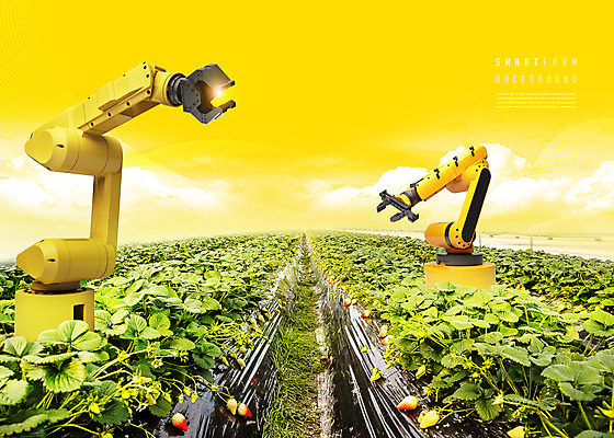PSD 구름 편집이미지 하늘 사람없음 노란색 농사 로봇 딸기밭 스마트팜 AI_인공지능 이미지편집 자연요소 컬러 밭 농업 농장 파일형식