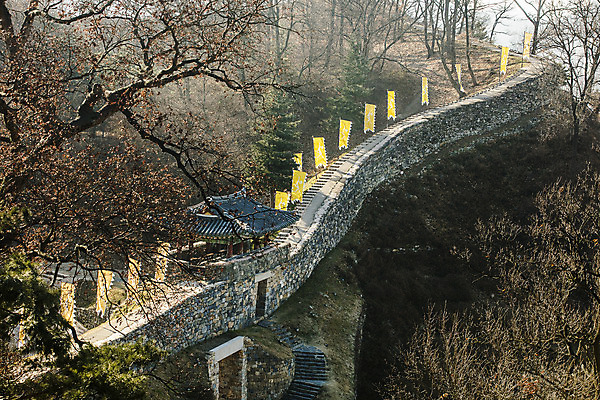 포토 JPG 주간 유적지 풍경 사람없음 야외 나뭇가지 충청남도 성벽 공주 성곽길 백제역사유적지구 공산성 국내포토 자연요소 나무 길 고건축 세계문화유산 공주_충청남도 충청도 파일형식