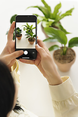 포토 JPG 우먼라이프 여자 화분 화초 실내 한명 들기 상반신 20대 성인 취미 뒷모습 아웃포커스 스마트폰 사진촬영 한국인 힐링 싱글라이프 성인여자한명만 국내포토 식물 1 라이프스타일 뷰포인트 모션 촬영기법 사람 동양인 청년 내부 핸드폰 스마트기기 촬영 여자한명만 성인여자만 파일형식