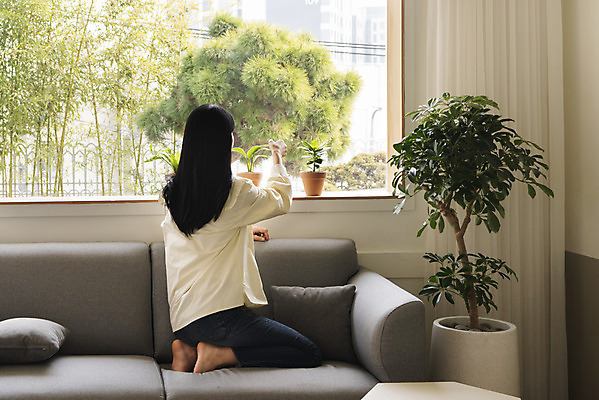 포토 JPG 주간 전신 우먼라이프 여자 화분 화초 창문 실내 한명 20대 성인 취미 뒷모습 소파 만지기 한국인 무릎꿇기 힐링 싱글라이프 성인여자한명만 국내포토 자연요소 식물 1 라이프스타일 뷰포인트 의자 모션 사람 동양인 청년 내부 여자한명만 성인여자만 파일형식