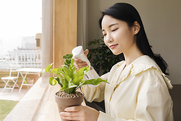 포토 JPG 주간 우먼라이프 여자 화분 화초 창문 실내 한명 미소 들기 상반신 20대 성인 취미 옆모습 한국인 물주기 힐링 분무기 물뿌리기 싱글라이프 성인여자한명만 국내포토 자연요소 식물 1 라이프스타일 뷰포인트 모션 표정 사람 동양인 청년 내부 여자한명만 성인여자만 파일형식