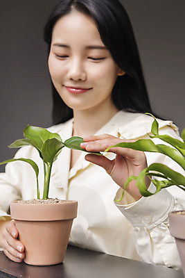 포토 JPG 우먼라이프 응시 여자 화분 화초 실내 한명 미소 상반신 20대 성인 취미 앞모습 만지기 한국인 힐링 싱글라이프 성인여자한명만 국내포토 식물 1 라이프스타일 시선 뷰포인트 모션 표정 사람 동양인 청년 내부 여자한명만 성인여자만 파일형식