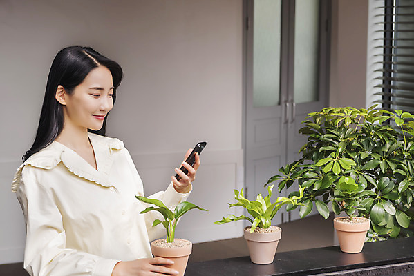 포토 JPG 우먼라이프 응시 여자 화분 화초 실내 한명 미소 들기 상반신 20대 성인 취미 옆모습 스마트폰 한국인 창가 힐링 싱글라이프 성인여자한명만 국내포토 식물 1 라이프스타일 시선 뷰포인트 창문 모션 표정 사람 동양인 청년 내부 핸드폰 스마트기기 여자한명만 성인여자만 파일형식
