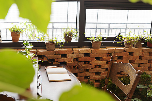 포토 JPG 화분 화초 의자 창문 실내 사람없음 공책 공간 소프트포커스 창가 힐링 휴식처 국내포토 식물 가구 휴식 문구용품 촬영기법 내부 파일형식