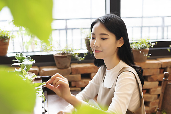 포토 JPG 우먼라이프 응시 여자 화분 화초 창문 실내 한명 미소 상반신 20대 성인 취미 옆모습 아웃포커스 만지기 한국인 소프트포커스 힐링 싱글라이프 성인여자한명만 국내포토 식물 1 라이프스타일 시선 뷰포인트 모션 촬영기법 표정 사람 동양인 청년 내부 여자한명만 성인여자만 파일형식