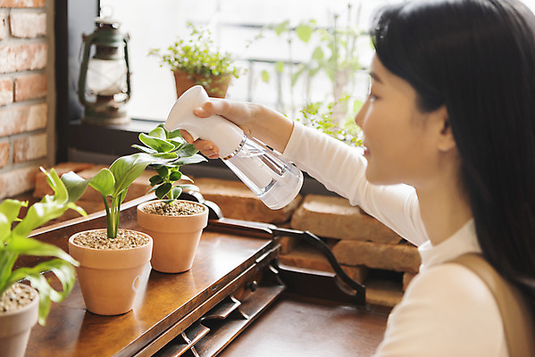 포토 JPG 우먼라이프 여자 화분 화초 창문 실내 한명 들기 상반신 20대 성인 취미 옆모습 한국인 물주기 힐링 분무기 물뿌리기 싱글라이프 성인여자한명만 국내포토 식물 1 라이프스타일 뷰포인트 모션 사람 동양인 청년 내부 여자한명만 성인여자만 파일형식
