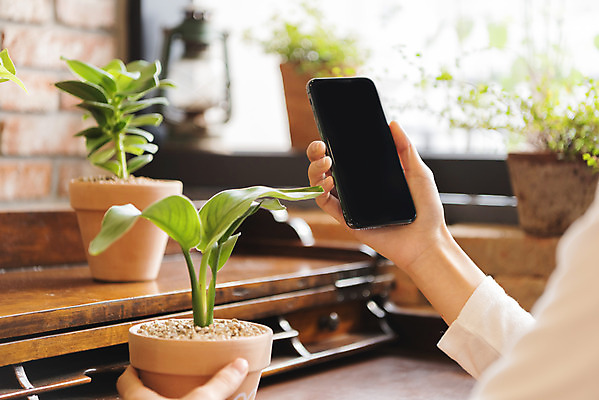 포토 JPG 우먼라이프 손 화분 화초 창문 실내 들기 취미 아웃포커스 신체부위 스마트폰 힐링 싱글라이프 국내포토 식물 라이프스타일 모션 촬영기법 사람 내부 핸드폰 스마트기기 파일형식