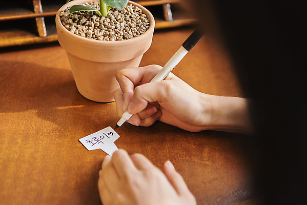 포토 JPG 우먼라이프 손 여자 화분 화초 실내 한명 상반신 20대 성인 취미 뒷모습 펜 한국인 기록 이름 소프트포커스 힐링 네임텍 싱글라이프 성인여자한명만 국내포토 식물 1 라이프스타일 뷰포인트 촬영기법 사람 동양인 청년 내부 신체부위 필기구 여자한명만 성인여자만 파일형식