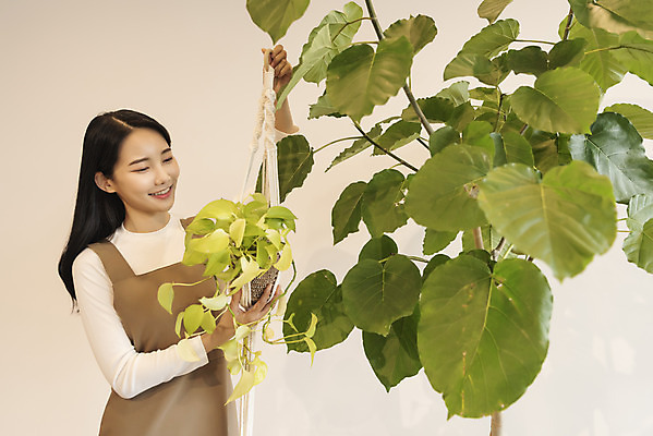 포토 JPG 우먼라이프 여자 화분 화초 실내 한명 미소 들기 상반신 20대 성인 취미 옆모습 한국인 힐링 싱글라이프 성인여자한명만 행잉플랜트 국내포토 식물 1 라이프스타일 뷰포인트 모션 표정 사람 동양인 청년 내부 여자한명만 성인여자만 파일형식