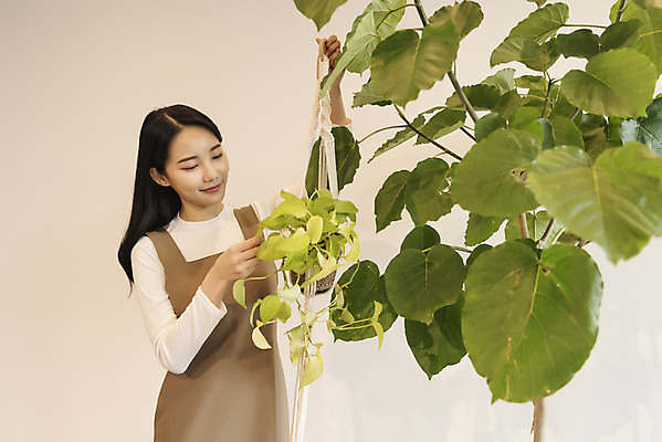 포토 JPG 우먼라이프 여자 화분 화초 실내 한명 미소 들기 상반신 20대 성인 취미 옆모습 만지기 한국인 힐링 싱글라이프 성인여자한명만 행잉플랜트 국내포토 식물 1 라이프스타일 뷰포인트 모션 표정 사람 동양인 청년 내부 여자한명만 성인여자만 파일형식