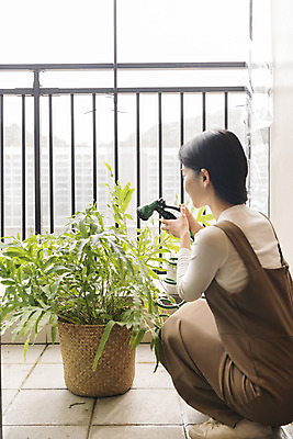 포토 JPG 전신 우먼라이프 여자 화분 화초 실내 한명 들기 20대 성인 취미 뒷모습 물뿌리개 한국인 발코니 물주기 힐링 웅크림 싱글라이프 성인여자한명만 국내포토 식물 1 라이프스타일 뷰포인트 모션 사람 동양인 청년 내부 여자한명만 성인여자만 파일형식