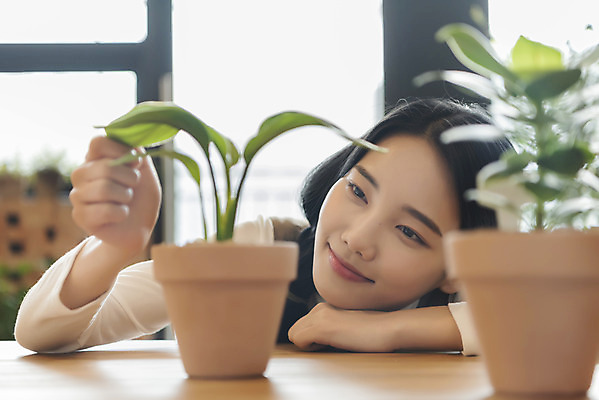 포토 JPG 우먼라이프 여자 화분 화초 엎드리기 실내 한명 미소 상반신 20대 성인 취미 앞모습 아웃포커스 만지기 한국인 소프트포커스 힐링 싱글라이프 성인여자한명만 국내포토 식물 1 라이프스타일 뷰포인트 모션 촬영기법 표정 사람 동양인 청년 내부 여자한명만 성인여자만 파일형식
