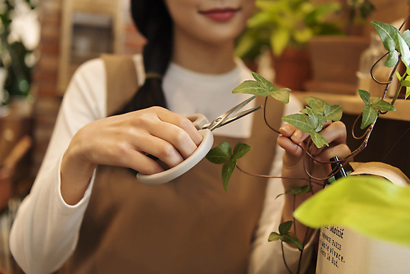 포토 JPG 우먼라이프 여자 화분 화초 실내 한명 들기 상반신 20대 성인 취미 앞모습 아웃포커스 한국인 힐링 가위질 조경가위 싱글라이프 성인여자한명만 국내포토 식물 1 라이프스타일 뷰포인트 모션 가위_도구 촬영기법 사람 동양인 청년 내부 여자한명만 성인여자만 파일형식