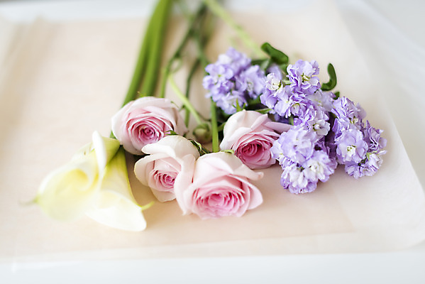 포토 JPG 주간 꽃다발 실내 근접촬영 취미 사람없음 아웃포커스 장미 포장지 카라 수국 국내포토 자연요소 꽃 뷰포인트 포장 촬영기법 내부 파일형식