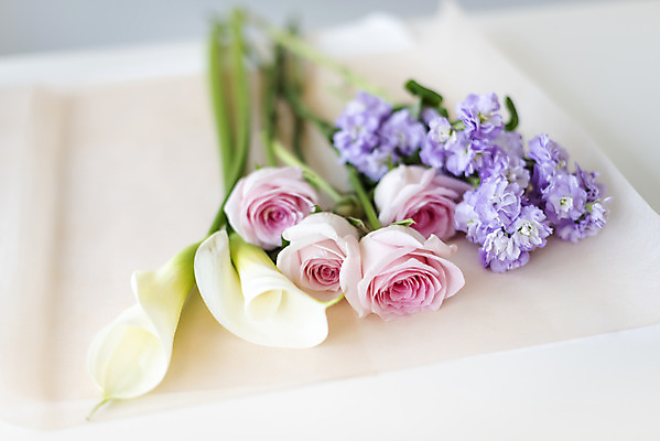 포토 JPG 주간 꽃다발 실내 근접촬영 취미 사람없음 아웃포커스 장미 포장지 카라 수국 국내포토 자연요소 꽃 뷰포인트 포장 촬영기법 내부 파일형식