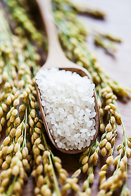 포토 JPG 사람없음 아웃포커스 숟가락 벼 쌀 전라남도 담양 국내포토 곡류 촬영기법 수저 전라도 파일형식