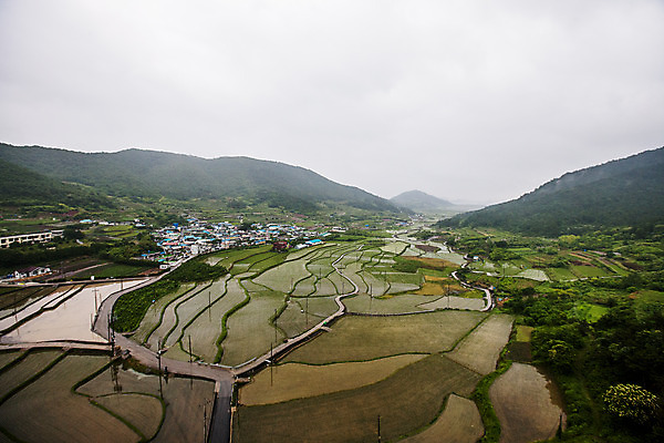 포토 JPG 주간 구름 밭 산 사람없음 야외 마을 전라남도 여수 다랑논 국내포토 자연요소 농업 전라도 파일형식