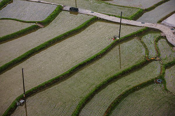 포토 JPG 주간 밭 사람없음 야외 하이앵글 전라남도 여수 모내기 다랑논 국내포토 자연요소 뷰포인트 농업 전라도 파일형식