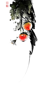 PSD 줄기 잎 토마토 일러스트 캘리그라피 붓터치 사람없음 여름 동양화 번짐 낙관 국내일러스트 식물 계절 채소 미술 파일형식 효과