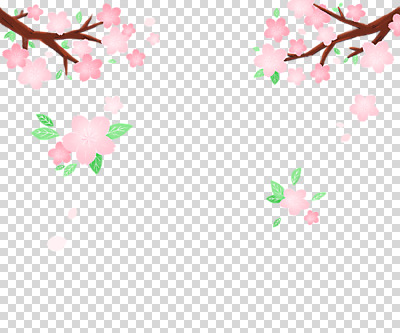 편집 편집이미지 꽃잎 나뭇잎 누끼 사람없음 봄 벚꽃 나뭇가지 PNG 낙화 편집소스 나무 계절 꽃 잎 파일형식