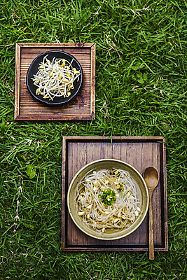 포토 JPG 주간 그릇 서울 잔디 사람없음 야외 여름 하이앵글 콩나물 비타민 나무숟가락 나무쟁반 냉국 국내포토 자연요소 식물 식기 계절 뷰포인트 채소 한국 쟁반 목재 숟가락 국 나물 영양소 파일형식