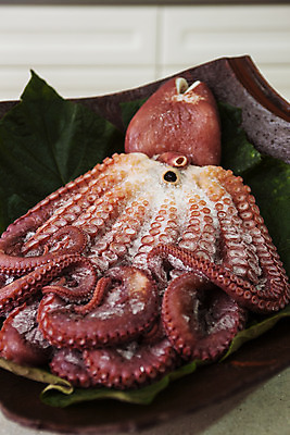 포토 JPG 접시 실내 사람없음 경상북도 동해 문어 보양식 자연산 포항 문어숙회 국내포토 식기 음식 바다 자연 연체동물 한국 내부 수중동물 경상도 몸보신 숙회 파일형식