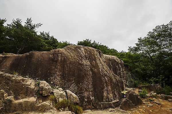 포토 JPG 주간 나무 산 풍경 사람없음 야외 경주 경상북도 절벽바위 국내포토 자연요소 식물 바위_돌 경상도 파일형식