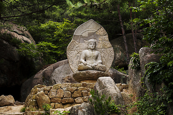 포토 JPG 주간 나무 불교 풍경 사람없음 야외 돌_바위 경주 경상북도 불좌상 국내포토 자연요소 식물 종교 경상도 불상 파일형식