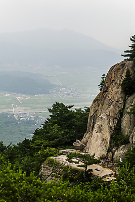 포토 JPG 주간 나무 불교 산 풍경 사람없음 야외 경주 경상북도 불상 절벽바위 국내포토 자연요소 식물 종교 바위_돌 경상도 파일형식