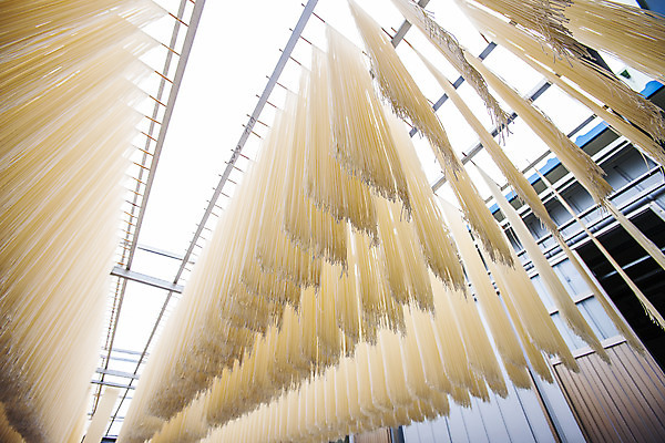 포토 JPG 로우앵글 건조 사람없음 야외 면 경상북도 국수 포항 국내포토 음식 뷰포인트 면류 경상도 파일형식