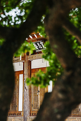 포토 JPG 주간 풍경 사람없음 야외 사찰 소프트포커스 경상북도 영천 국내포토 자연요소 종교건축 촬영기법 경상도 파일형식