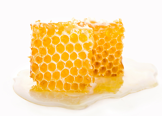 포토 JPG 해외이미지 실내 근접촬영 사람없음 꿀 벌집 벌꿀 해외포토 뷰포인트 내부 파일형식