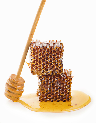 포토 JPG 해외이미지 실내 사람없음 꿀 벌집 벌꿀 허니디퍼 해외포토 내부 도구 파일형식