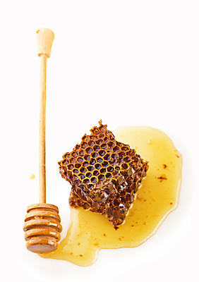 포토 JPG 해외이미지 실내 사람없음 꿀 벌집 벌꿀 허니디퍼 해외포토 내부 도구 파일형식