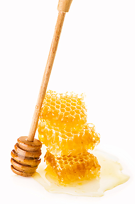 포토 JPG 해외이미지 실내 사람없음 꿀 벌집 벌꿀 허니디퍼 해외포토 내부 도구 파일형식