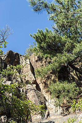 포토 JPG 주간 나무 자연 하늘 산 풍경 사람없음 야외 바위 국내포토 자연요소 식물 돌_바위 생태계 파일형식