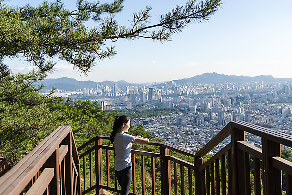 포토 JPG 주간 라이프스타일 여자 여유 휴식 산 한명 상반신 20대 성인 야외 뒷모습 하이앵글 건강관리 기댐 등산 한국인 도시 산행 성인여자한명만 국내포토 자연요소 1 감정 뷰포인트 컨셉 모션 건강 관리 사람 동양인 청년 생활 트래킹 여자한명만 성인여자만 파일형식 레저 인종 여자만 성인만