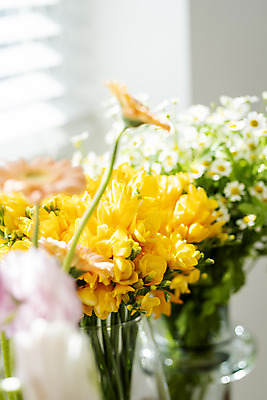 포토 JPG 꽃 실내 사람없음 아웃포커스 꽃병 소프트포커스 창가 프리지어 국내포토 식물 창문 촬영기법 내부 파일형식