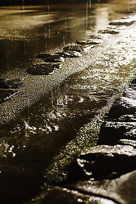 포토 JPG 자연 실내 사람없음 비 야간 전라남도 나주 국내포토 자연요소 날씨 내부 전라도 생태계 파일형식