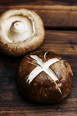 포토 JPG 실내 근접촬영 사람없음 전라남도 특산물 표고버섯 나무도마 장흥 국내포토 뷰포인트 도마 내부 목재 버섯 전라도 경상북도 파일형식