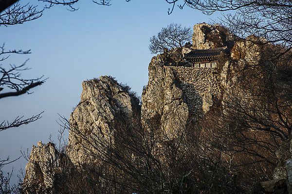 포토 JPG 주간 나무 사람없음 야외 전라남도 암벽 해남 달마산 미황사 국내포토 자연요소 식물 산 사찰 전라도 파일형식