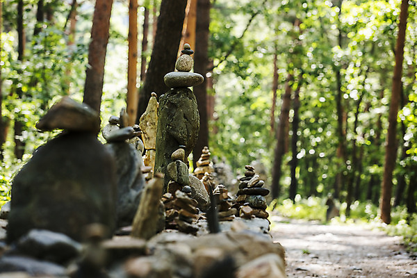 포토 JPG 주간 나무 풍경 사람없음 야외 아웃포커스 소프트포커스 숲 강원도 숲길 강릉 소원탑 국내포토 자연요소 식물 길 한국 촬영기법 탑 파일형식