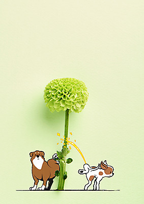 전신 PSD 편집이미지 꽃 두마리 포토일러 아이디어 사람없음 연두색 강아지 손그림 소변 반려 오줌싸기 이미지편집 식물 컨셉 2 초록색 반려동물 개 파일형식