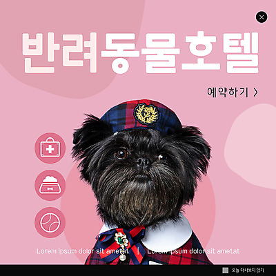 PSD 템플릿 한마리 ZIP 반려견 분홍색 웹템플릿 팝업 이벤트팝업 웹팝업 사람없음 강아지 강아지옷 반려 빅팝업 애완호텔 아펜핀셔 이미지템플릿 1 컬러 호텔 반려동물 개 애견용품 파일형식 핀셔