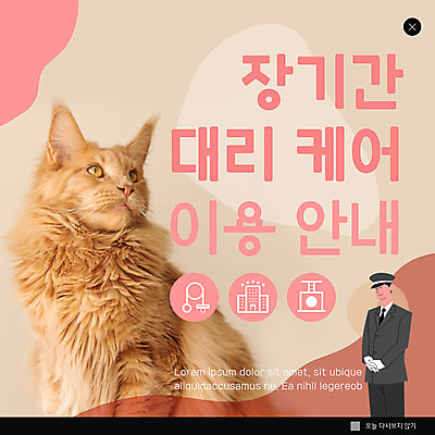 PSD 템플릿 한마리 남자 ZIP 웹템플릿 팝업 이벤트팝업 웹팝업 한명 서기 상반신 성인 고양이 반려 베이지색 벨보이 성인남자한명만 빅팝업 반려묘 애완호텔 메인쿤 돌봄서비스 이미지템플릿 1 컬러 포유류 모션 호텔 사람 반려동물 서비스 남자한명만 성인남자만 파일형식