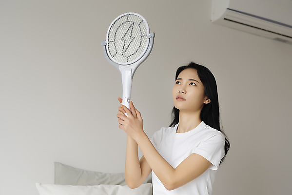 포토 JPG 우먼라이프 응시 여자 베개 실내 한명 들기 상반신 20대 성인 옆모습 한국인 에어컨 모기 싱글라이프 성인여자한명만 모기채 국내포토 1 라이프스타일 시선 뷰포인트 침구 모션 사람 동양인 청년 내부 가전제품 도구 해충 여자한명만 성인여자만 파일형식