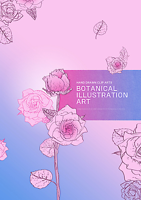 PSD 분홍색 잎 일러스트 타이포그라피 사람없음 장미 보테니컬아트 국내일러스트 식물 문자 꽃 컬러 파일형식