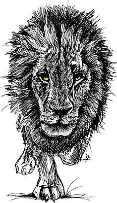 EPS 해외이미지 한마리 야생동물 일러스트 사람없음 사자 스케치 해외202004 해외일러스트 동물 1 포유류 미술 파일형식 벡터