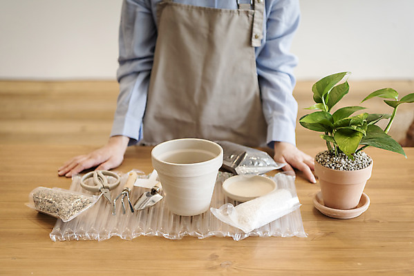 포토 JPG 식물 여자 화분 화초 실내 한명 서기 상반신 20대 성인 취미 앞모습 앞치마 한국인 준비 원예 분갈이 원예용품 조경가위 준비물 성인여자한명만 반려식물 국내포토 1 뷰포인트 생활용품 모션 가위_도구 사람 동양인 청년 내부 여자한명만 성인여자만 파일형식
